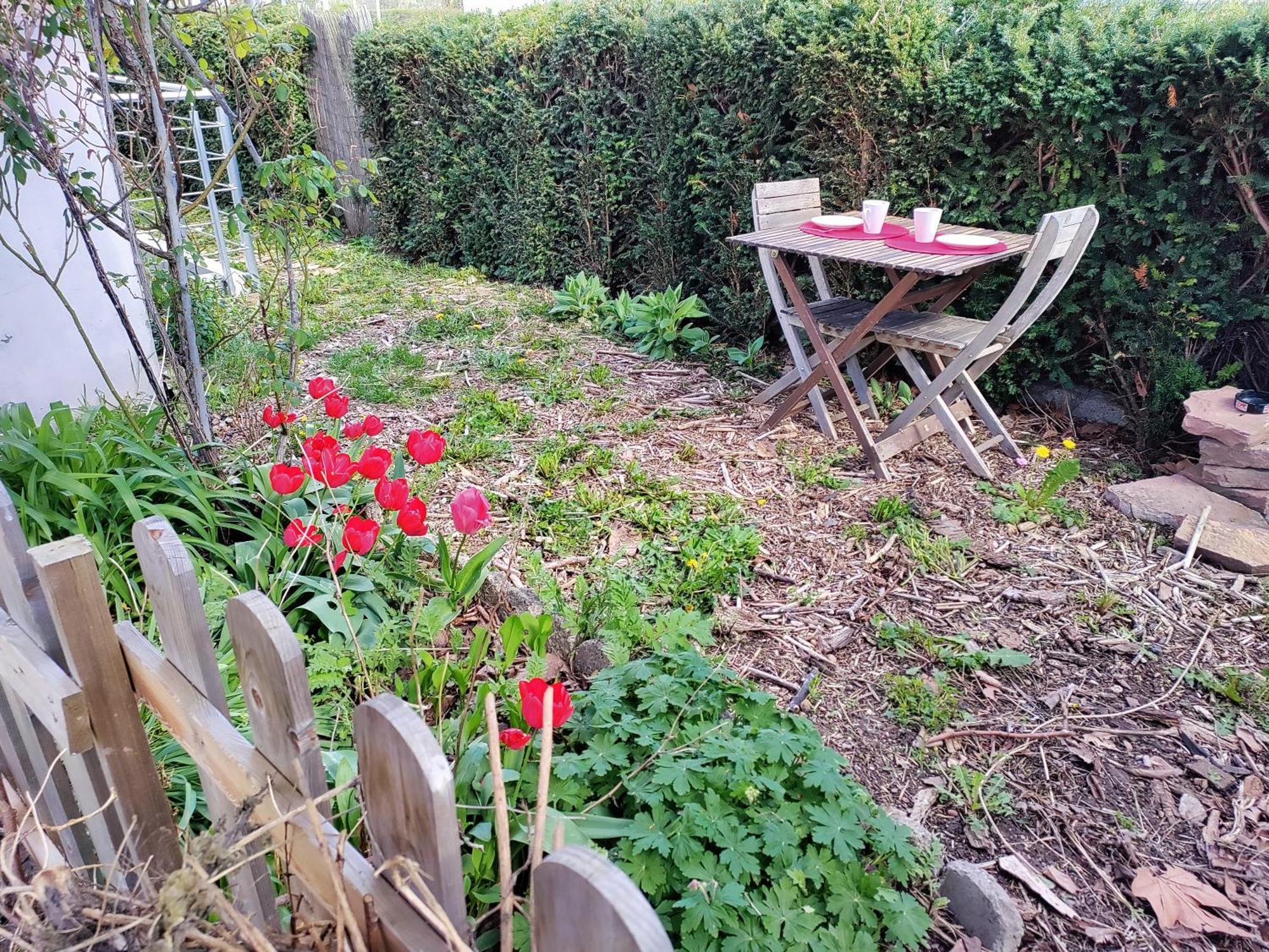 Les Coquelicots, Calme, Jardin Apartment Colmar Bagian luar foto